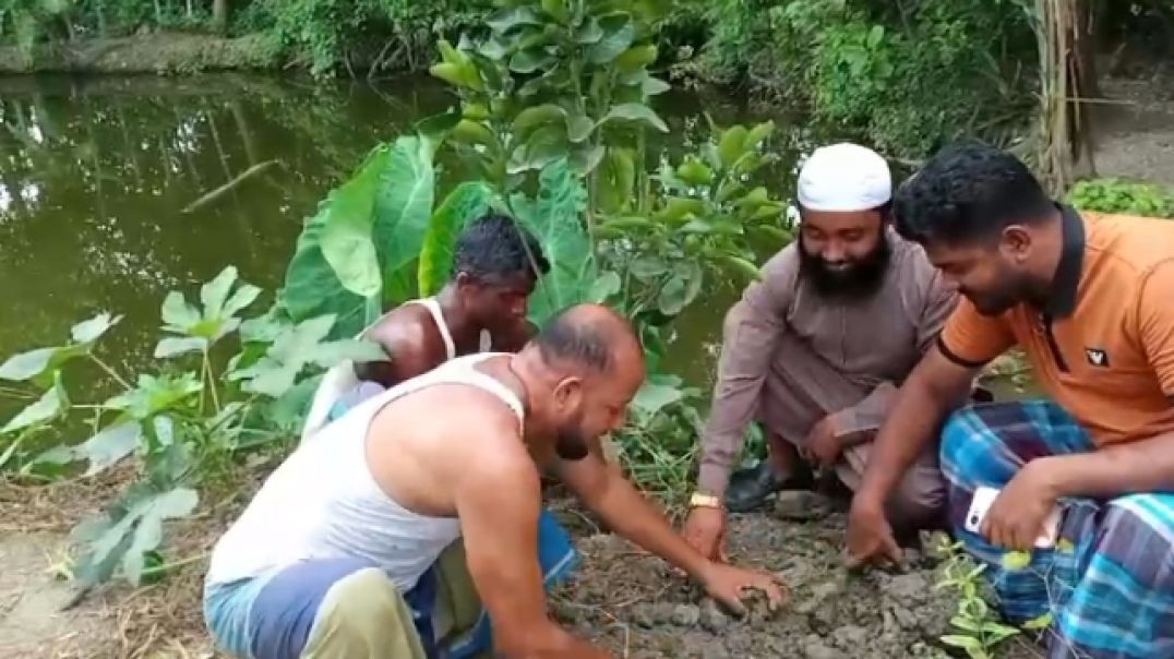 হোসেনপুরে বৃক্ষ প্রেমিক হিসাবে বেশ সাড়া জাগিয়েছেন  চাচা নজরুল ও ভাতিজা তানভীর
