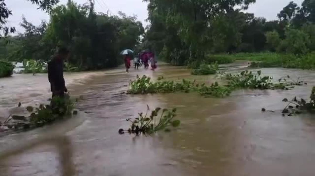 ⁣ফেনীর ফুলগাজী থেকে বন্যার সর্বশেষ পরিস্থিতি