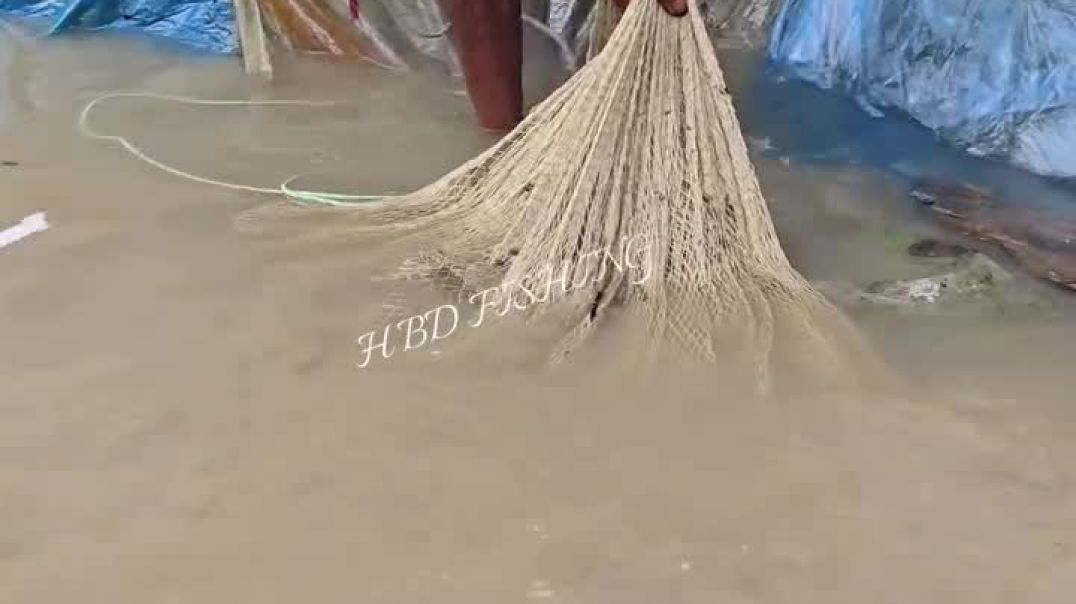 বৃষ্টির পানিতে বাড়ির উঠানে ঝাকি জাল দিয়ে মাছ ধরার ভিডিও