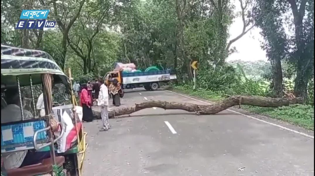 গোপালগঞ্জে এনসিপির আগমন ঠেকাতে সড়কে গাছ ফেলে প্রতিবন্ধকতা সৃষ্টি