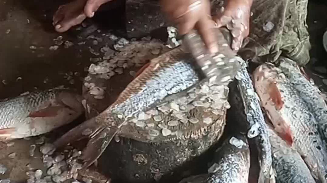 ⁣"ঝটপট মাছ কাটা শিখুন! সহজ ও চমৎকার কৌশল" ‎