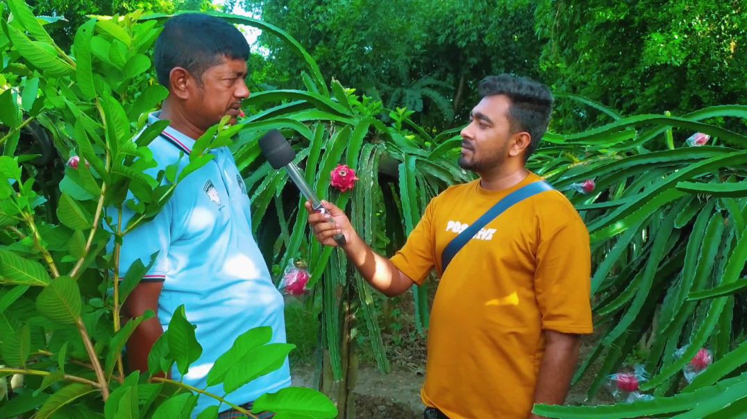 ⁣পূর্বধলার শাহজাহান  ড্রাগন  চাষ করে লক্ষপতি।
