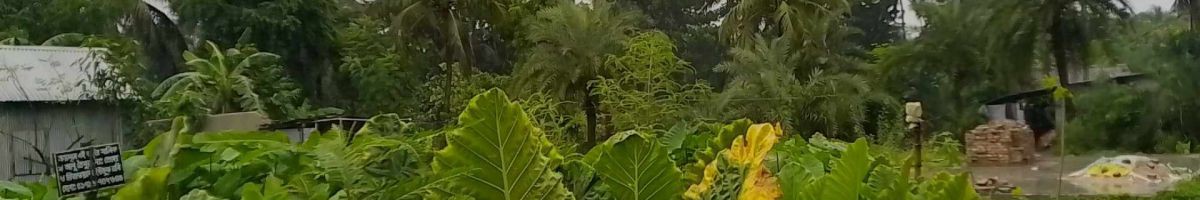 ফাহিম ইসলাম 