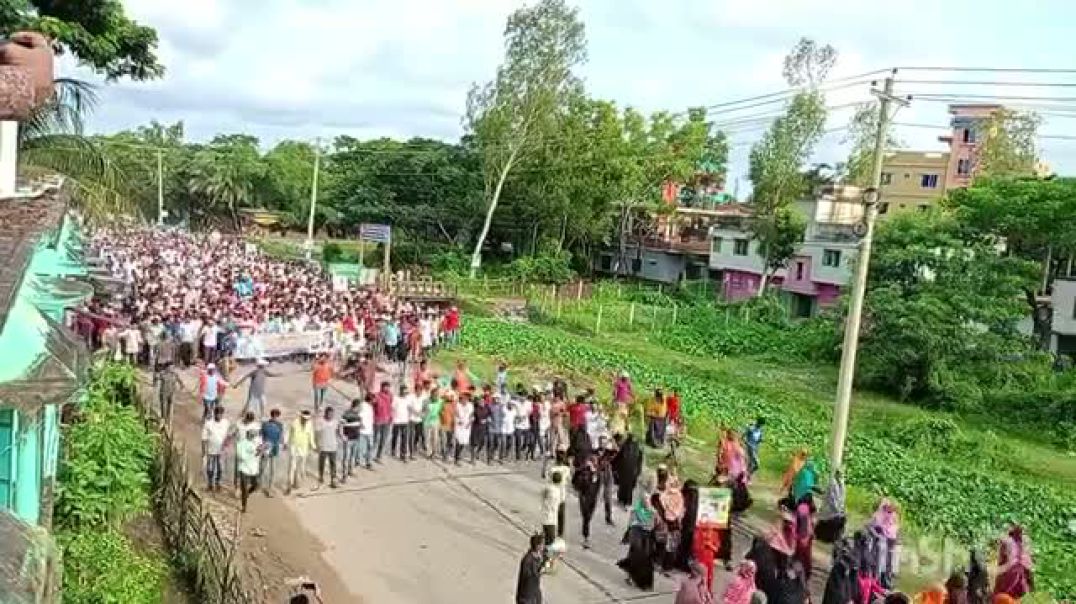 পেকুয়া উপজেলা বিএনপির সভাপতি এম বাহদূর শাহ্ এর নেতৃত্বে বিজয় র‍্যালি।