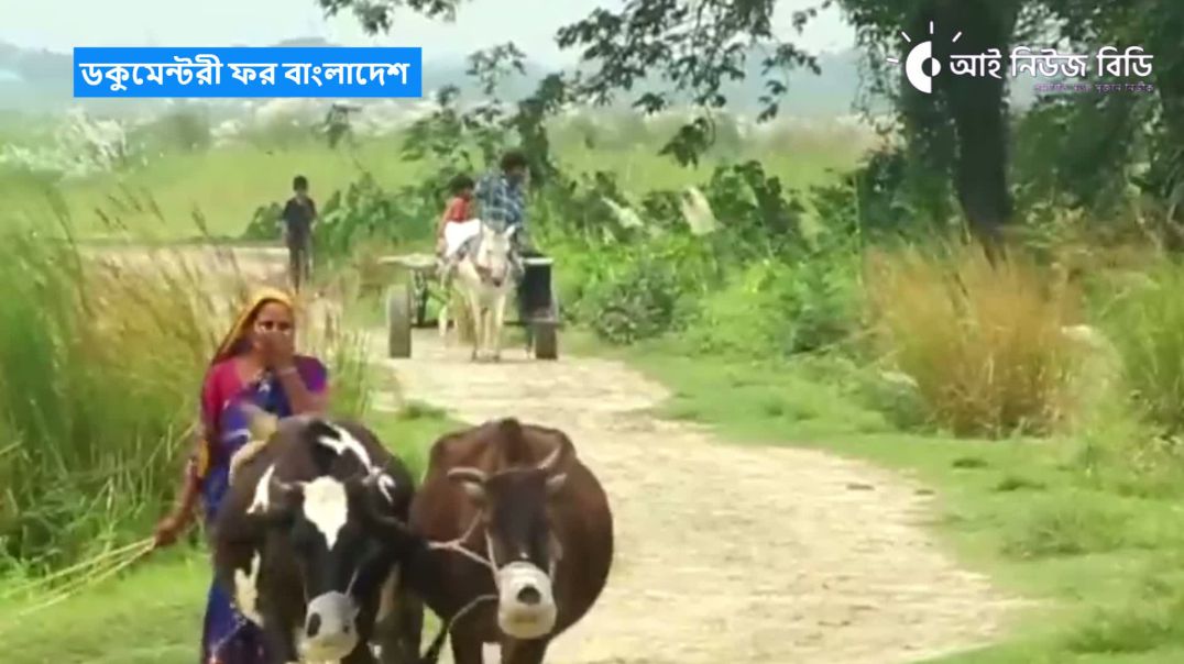 ডকুমেন্টরী ফর বাংলাদেশ