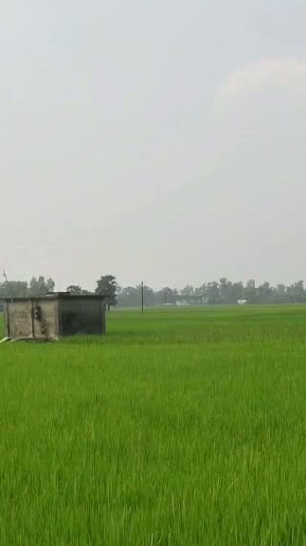 জয়পুরহাটে গভীর নলকূপের পাহারাদারকে হাত-পা বেঁধে শ্বাসরোধে হত্যা