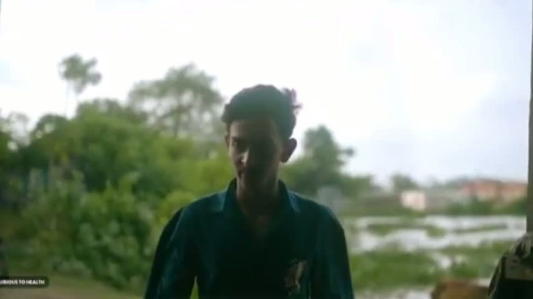 Gang of robbers। Movie clips.
