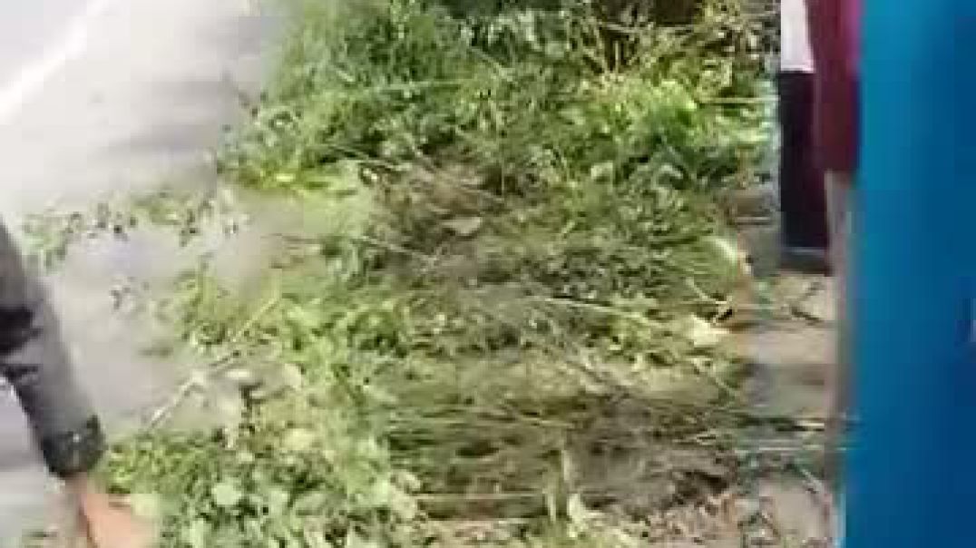VID-20250829-WA0037