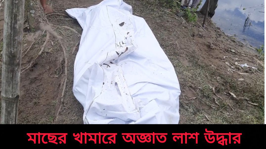 ⁣লালমনিরহাটে মাছের খামারে অজ্ঞাত লাশ উদ্ধার