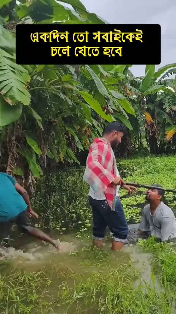 ফানি ভিডিও।