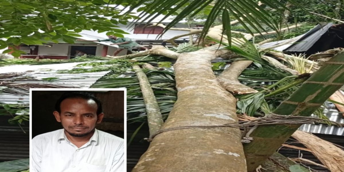 বেতাগীতে মানবেতর জীবন পার করছে ঝুমুরের পরিবার
