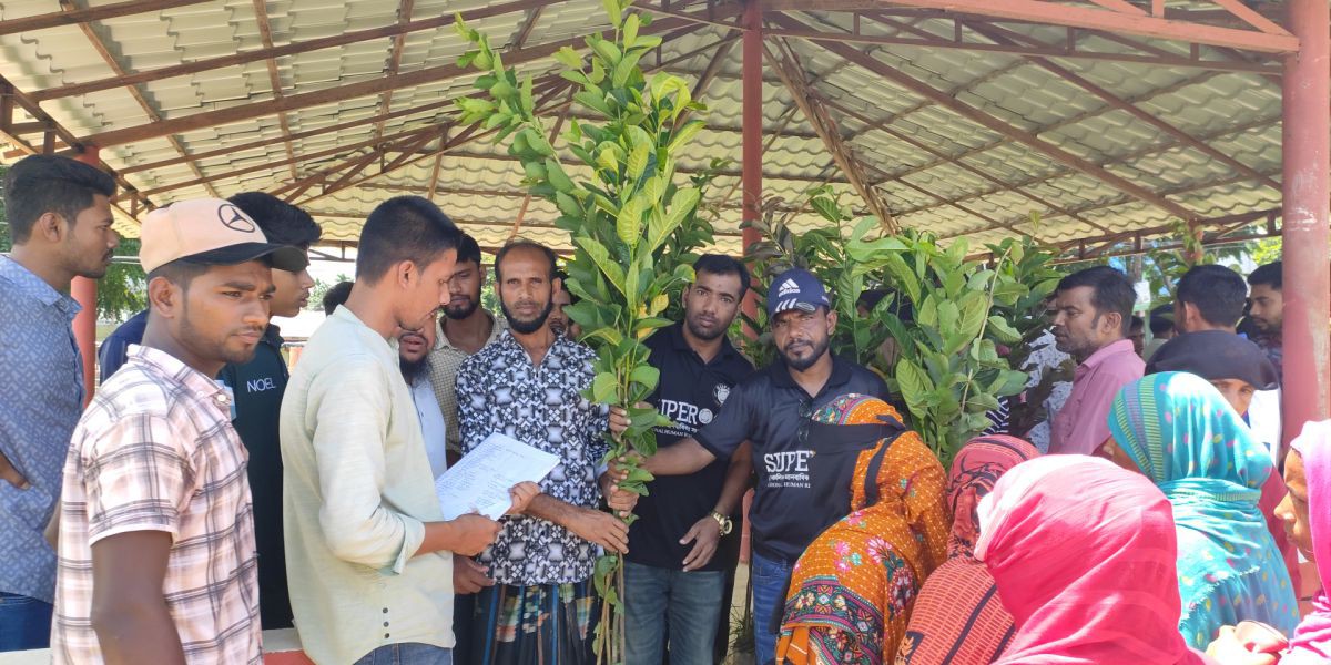 জামালগঞ্জে  বিনামূল্যে সুপার সিক্সটির ৫শতাধিক চারাগাছ বিতরন ..