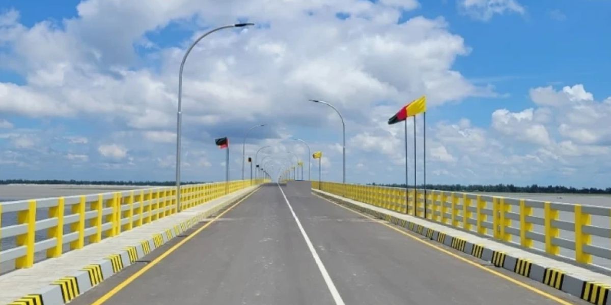 মওলানা ভাসানী সেতুর ল্যাম্পপোস্টের তার চুরি
