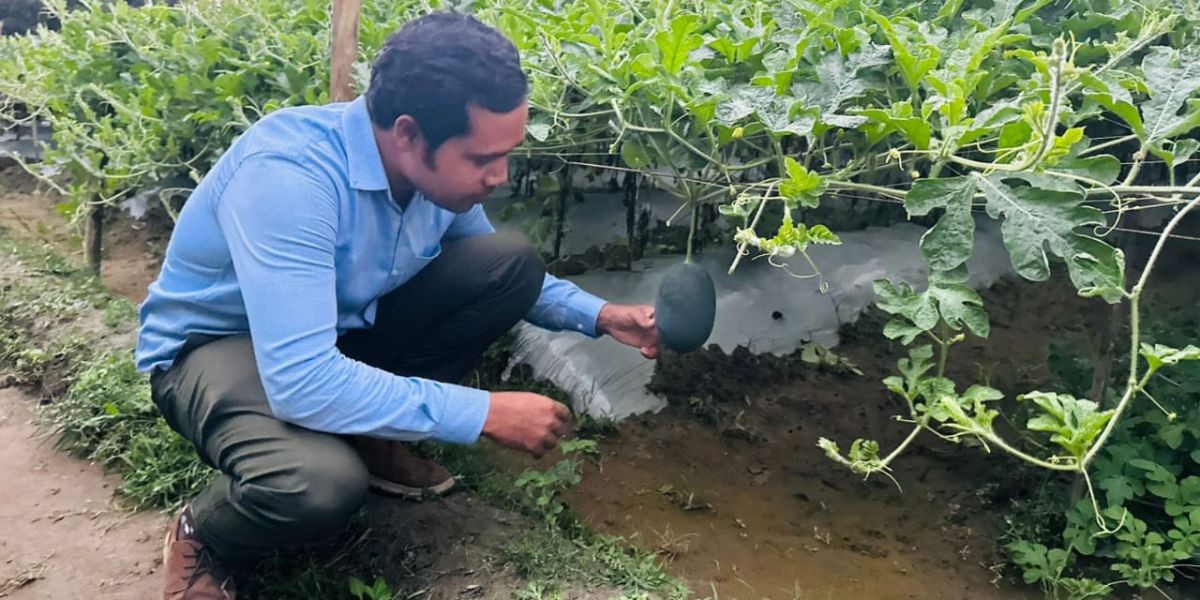 গ্রীষ্মকালীন তরমুজ চাষে নতুন সম্ভাবনা দেখাচ্ছে কেন্দুয়ার মাঠঘাট..