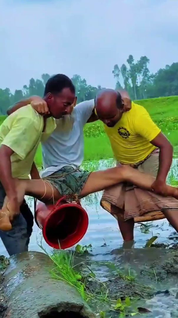 বালতি দিয়ে পানি সেচ দেওয়ার অভিনব পদ্ধতি।