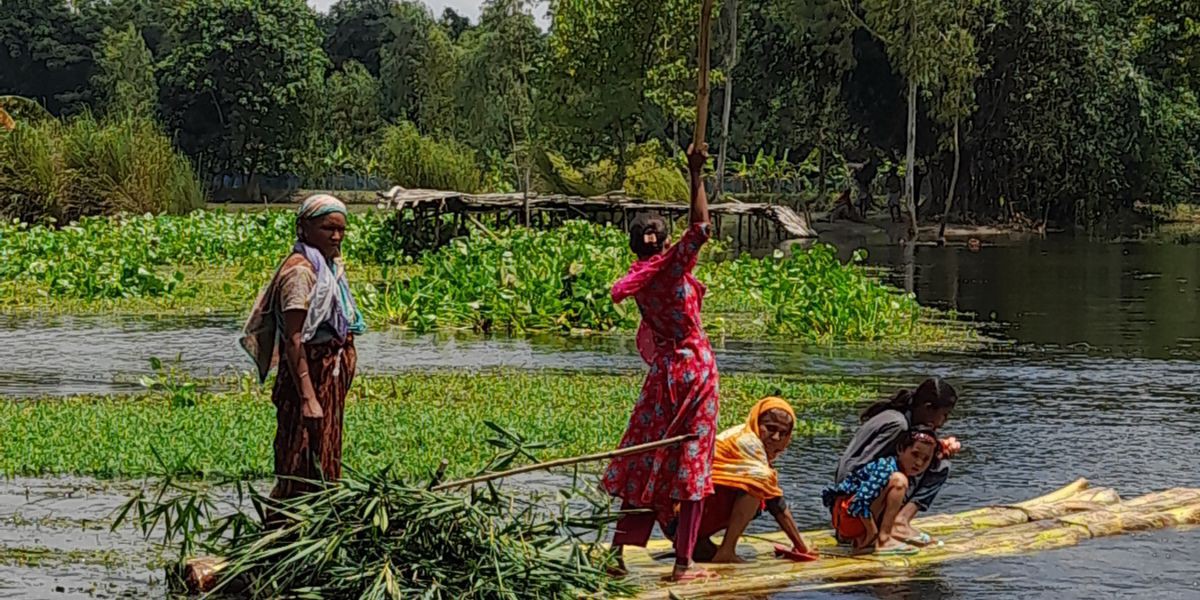 চিরিরবন্দরে পানির স্রোত ও কচুরিপানার চাপে ভাঙল বাঁশের সাঁকো, শত মানুের ভোগান্তিতে।..