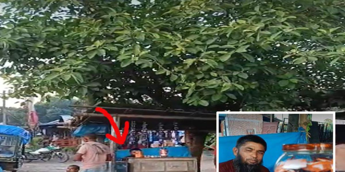 চারশো টাকা পুঁজিতেই জীবন যুদ্ধ; হার মানেননি রেজওয়ানুল