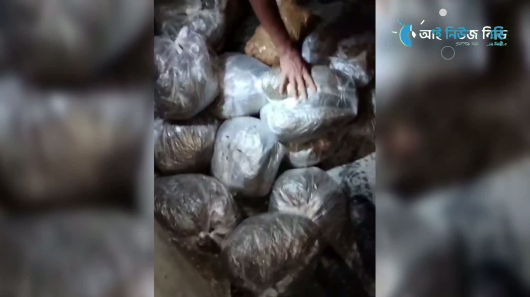 বড়াইগ্রামে গাঁ'জা কান্ডে এসআই আব্দুর রাজ্জাক ও সঙ্গী দুই কনস্টেবল প্রত্যাহার