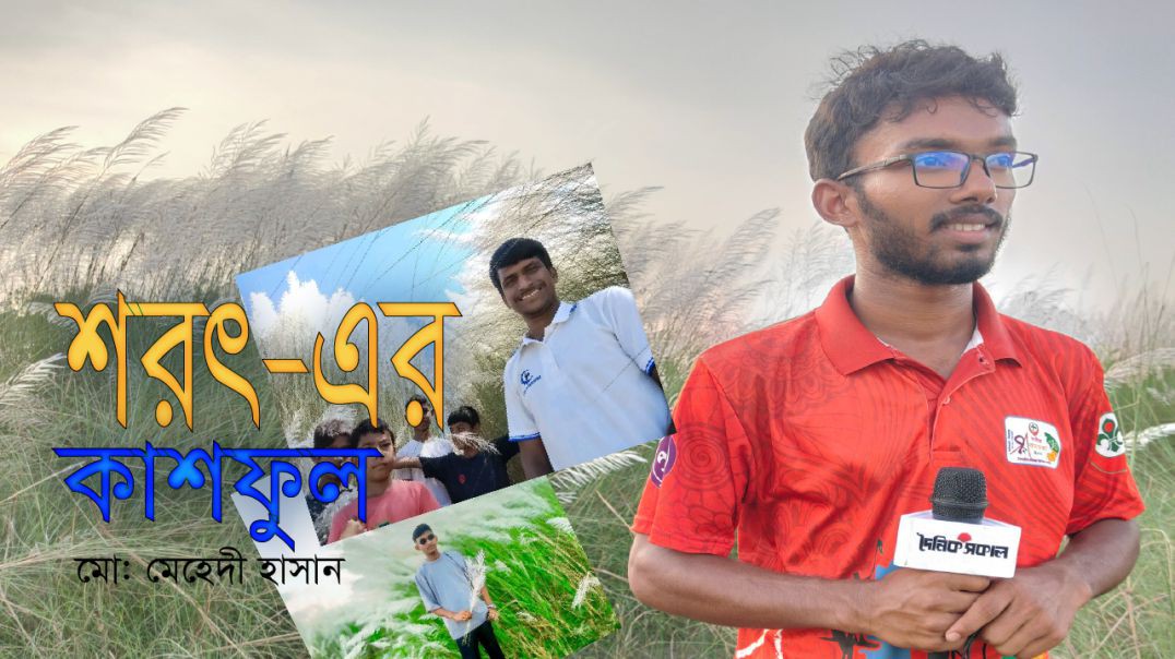 ⁣বাংলার শরৎ -১৪৩২,  বিশেষ প্রতিবেদন - শরৎএর কাশফুল।  প্রতিবেদক মোঃ মেহেদী হাসান