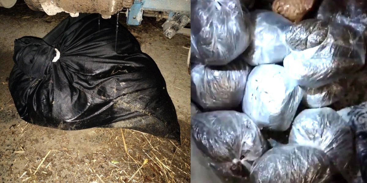 ৩০ কেজি গাঁজাসহ আটক আসামীর নামে মাত্র সাত কেজি দিয়ে মামলা!..