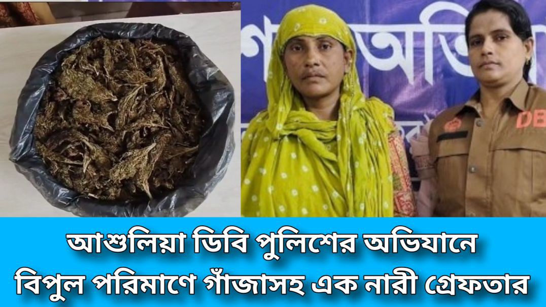 ⁣আশুলিয়া বিপুল পরিমাণে গাজাসহ এক নারীকে আটক করেছে ডিবি পুলিশ - আই নিউজ বিডি