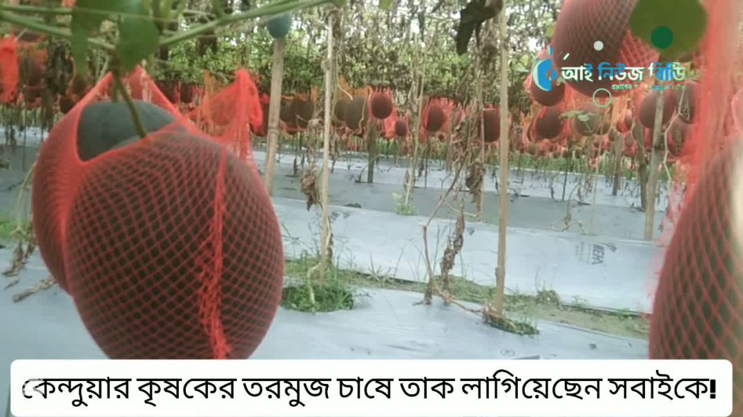 গ্রামীণ জনপদের কৃষক সমাজে আবারও ফিরে আসছে গ্রামীণ অর্থনীতির প্রাণচাঞ্চল্য।