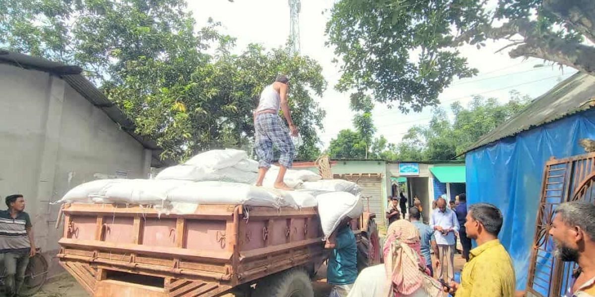 ঠাকুরগাঁওয়ে কৃষকদের মাঝে  জব্দকৃত এক ট্রাক সার বিতরণ