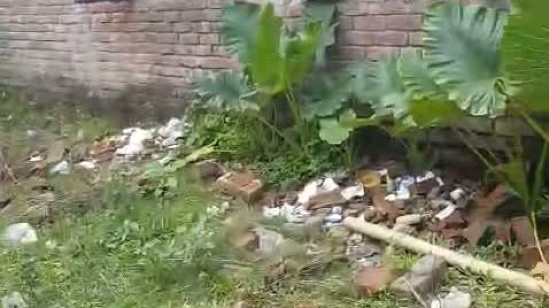 ⁣সাবরেজিস্টারের অফিসের পাসে পায়াগেলো ১০০ এর ও বেশি ফেন্সিডিলের বোতল।