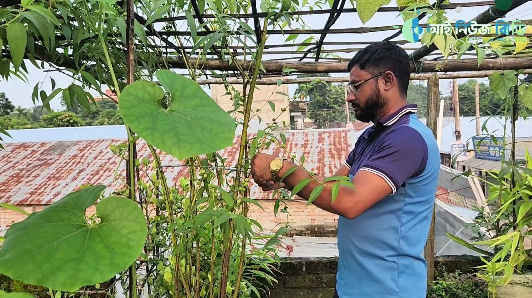 ⁣চিকিৎসা পেশার ব্যস্ততা ছাপিয়ে সবুজে মুগ্ধ ডা. আখিনুজ্জামান নিপু
