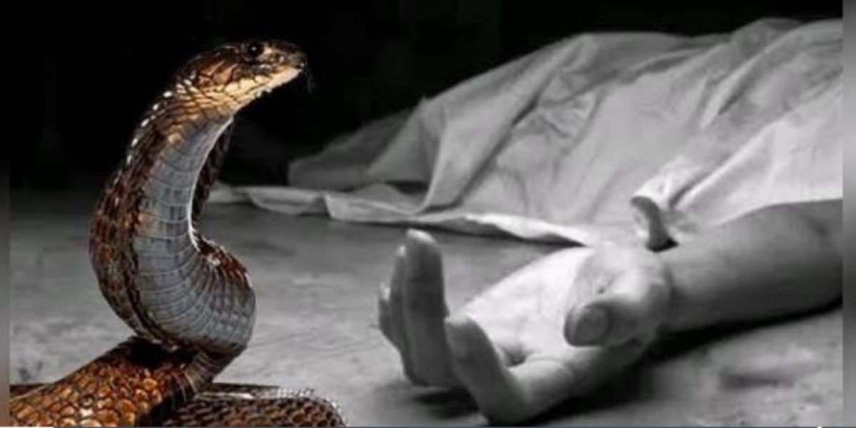 মোংলায় সাপের কামড়ে এক নারীর মৃত্যু