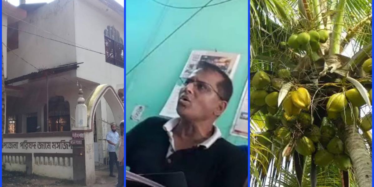 মসজিদের গাছের ৫০ নারিকেল নিয়ে গেলেন শিক্ষা কর্মকর্তা