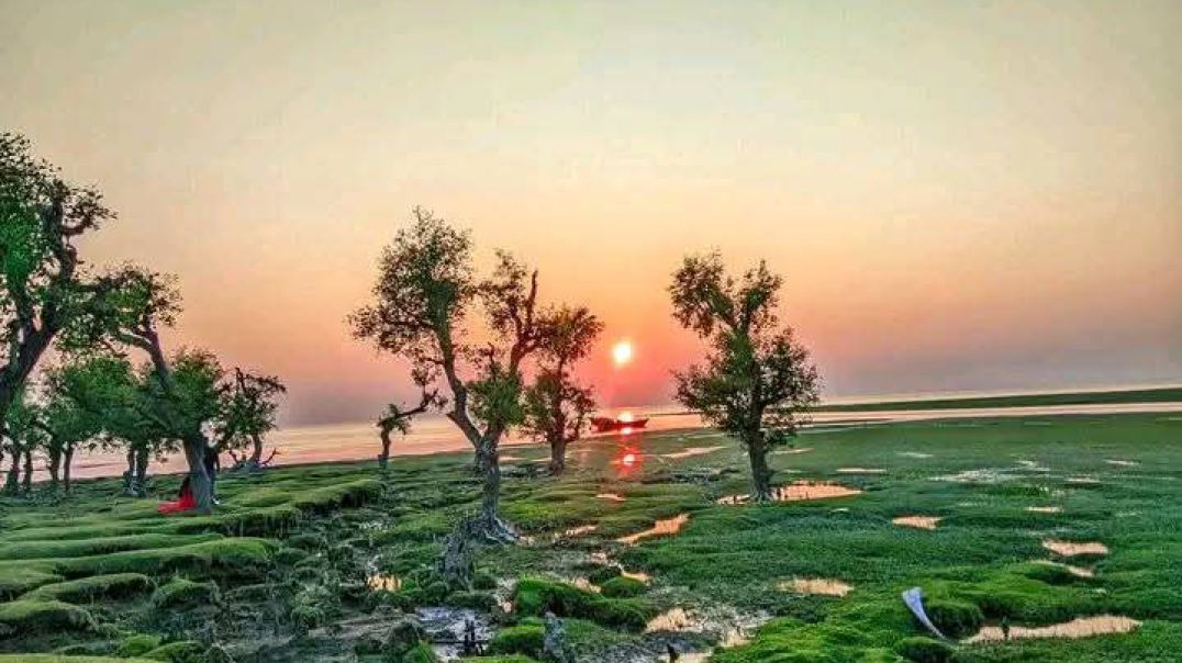 বরগুনা (তালতলী ও পাথরঘাটায় টুরিস্ট স্পট)