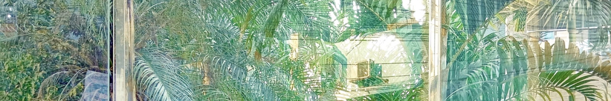 Rudra Biswas