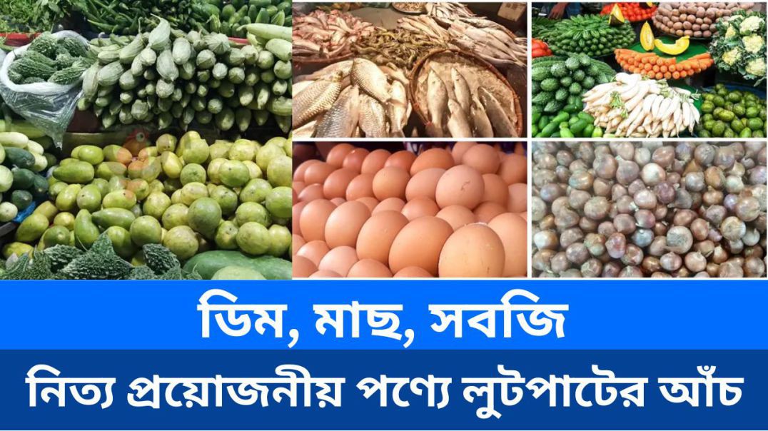 ⁣ডিম, মাছ, সবজি নিত্য প্রয়োজনীয় পণ্যে অকেজো ব্যয় ও লুটপাটের আঁচ