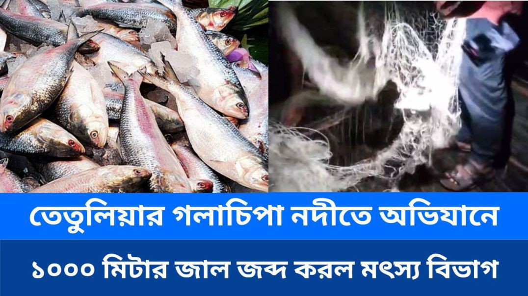 ⁣তেতুলিয়ার গলাচিপা নদীতে অভিযানে ১০০০ মিটার জাল জব্দ করল মৎস্য বিভাগ