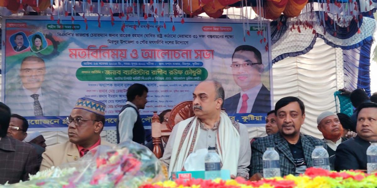 বিএনপির ৩১ দফা বাস্তবায়নে কুষ্টিয়ার মিরপুরে মৎস্যজীবী দলের মতবিনিময় সভা....