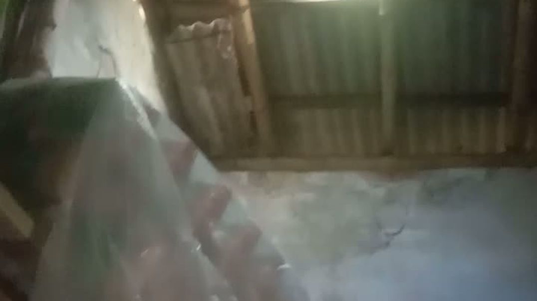 ⁣নিলডুমুর খেয়া ঘাটে মুদি দোকানে চুরি