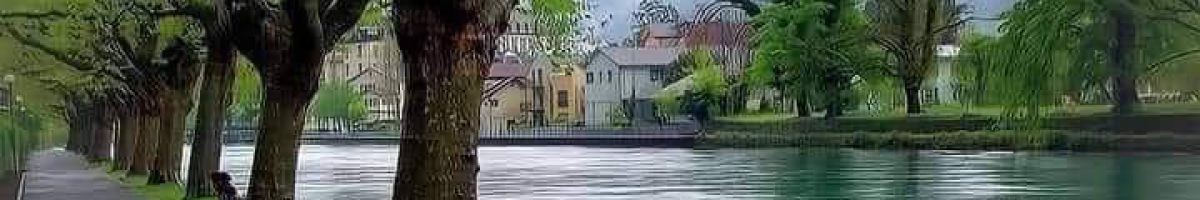 আই নিউজ বিডি