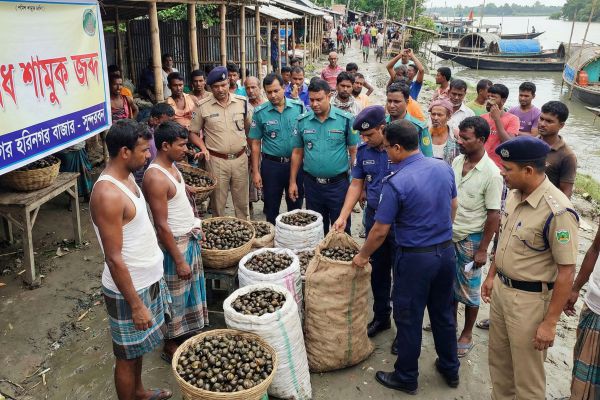 শিরোনাম: শ্যামনগরে পুলিশের অভিযান: সুন্দরবন সংলগ্ন  <br>হরিনগর বাজার থেকে বিপুল পরিমাণ অবৈধ শামুক জব্দ <br> <br>নিজস্ব প্রতিবেদক, শ্যামনগর (সাতক্ষীরা): <br>সাতক্ষীরার শ্যামনগর উপজেলার সুন্দর..