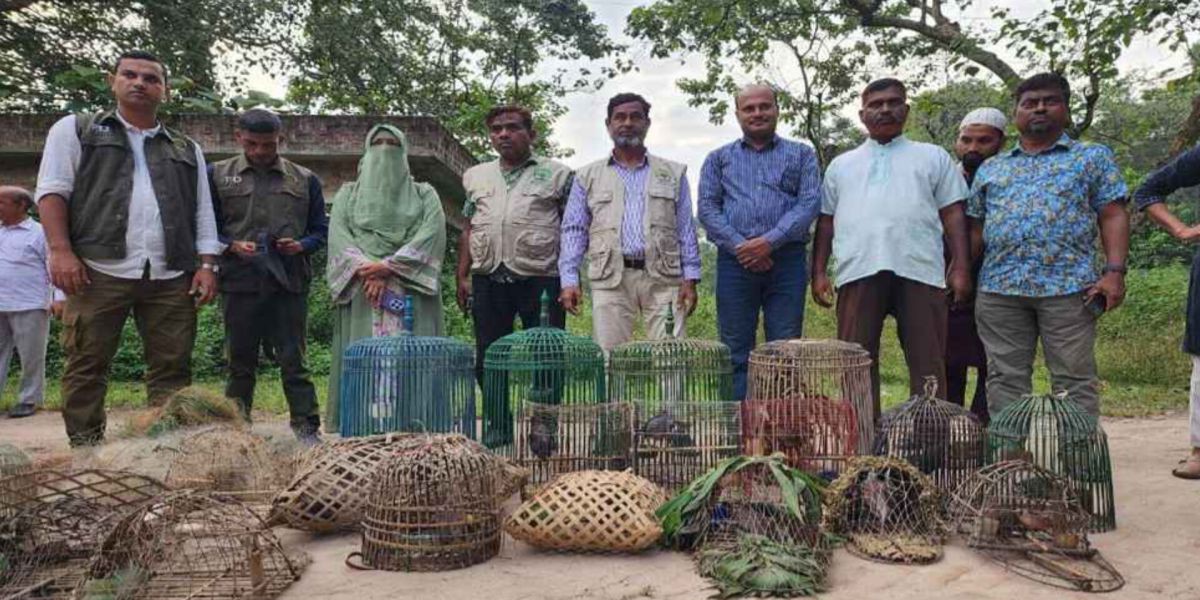 মাধবপুরে উদ্ধারকৃত ১২টি বন্য পাখি সাতছড়ির বনে অবমুক্ত