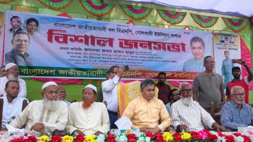 ⁣ভাড়াটিয়া প্রার্থীদের স্বপ্ন ভেঙে দেবে বাস্তবতা: নেতৃত্ব আমদানিতে দলের ক্ষতি—হাসান মামুন