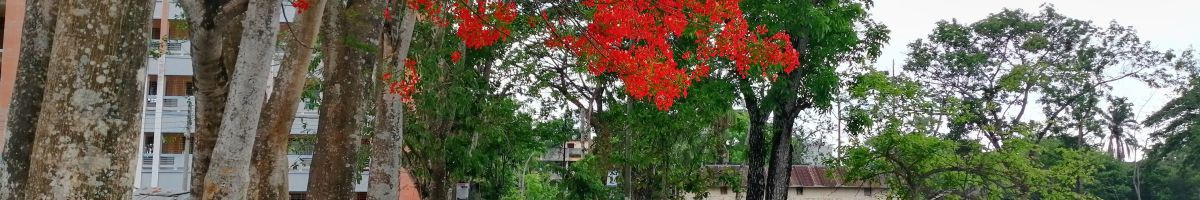 আব্দুল্লাহ আল হাসিব 