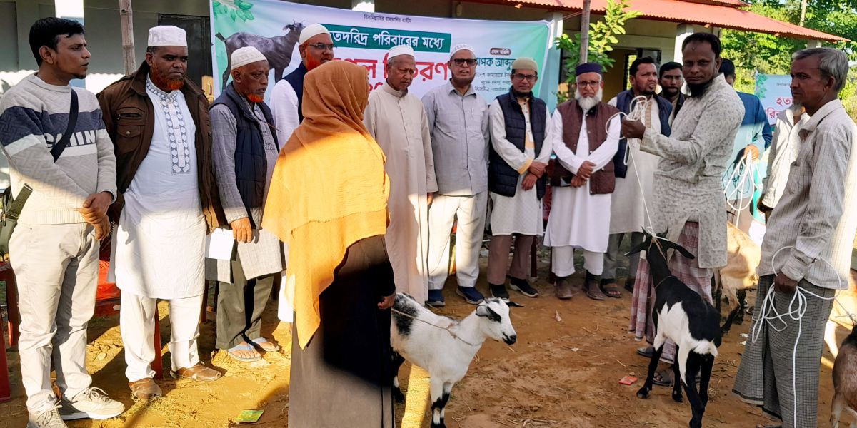 বিশ্বনাথে দরিদ্রতা বিমোচনে ছাগল অনুদান প্রবাসীদের যুগান্তকারী পদক্ষেপ, জামাত মনোনীত  সংসদ পদপ্রার্থী-----অধ্যাপক আব্দুল হান্নান..