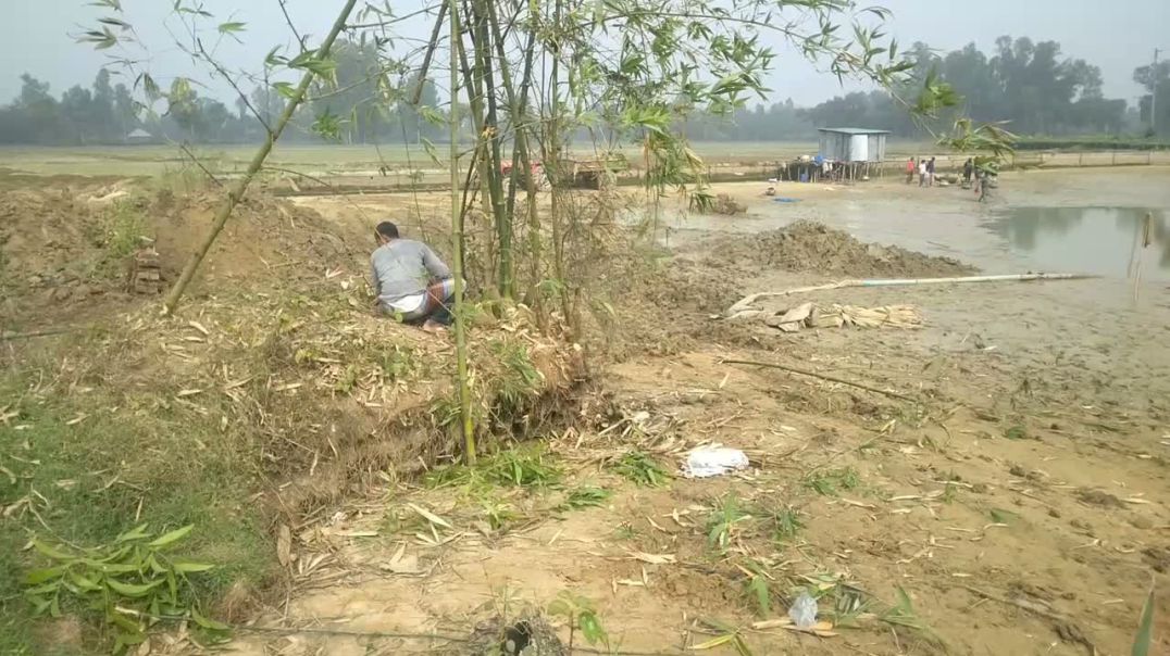 শতবর্ষে সংস্কারহীন পুকুরে ভাঙন, ক্ষেতলালে কৃষিজমি গ্রাসের অভিযোগ।।#joypurhat#khetlalnews