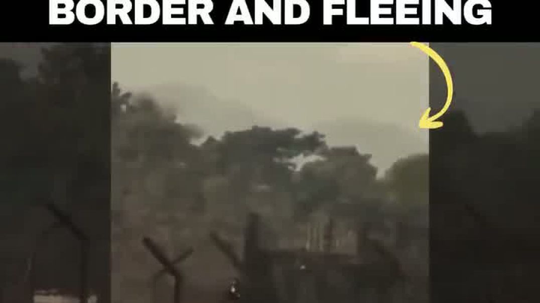 ⁣বাংলাদেশ সীমান্ত থেকে ছাগল চু'রি করলো বিএসএফ!