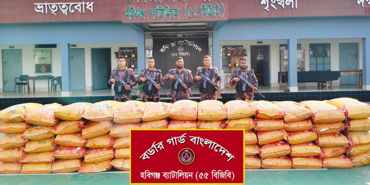 হবিগঞ্জে ৫৫ বিজিবির অভিযানে সাড়ে ৩১ লাখ টাকার ভারতীয় জিরা জব্দ..
