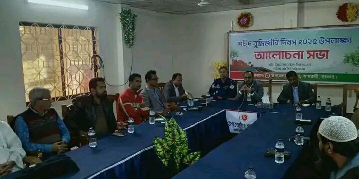 আমতলীতে শহীদ বুদ্ধিজীবি দিবস পালিত