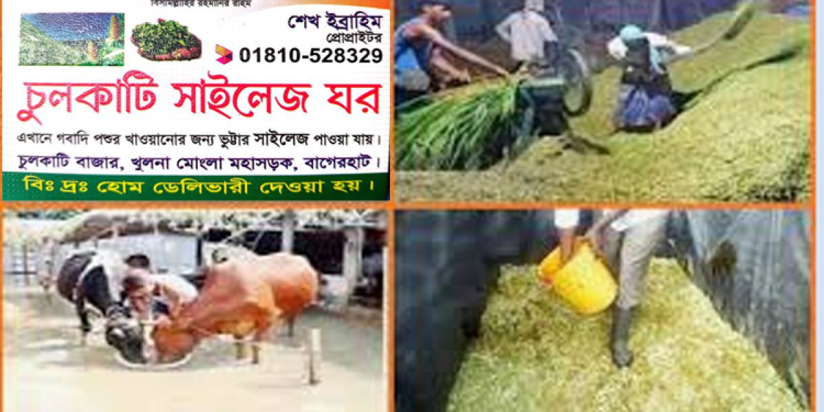 প্রশাসনের অন্তরালে চুলকাটিতে কাগজ পত্রবিহীন গো-খাদ্য কারখানা,  সাংবাদিকদের হুমকি-ধামকি প্রোপ্রাইটারের..