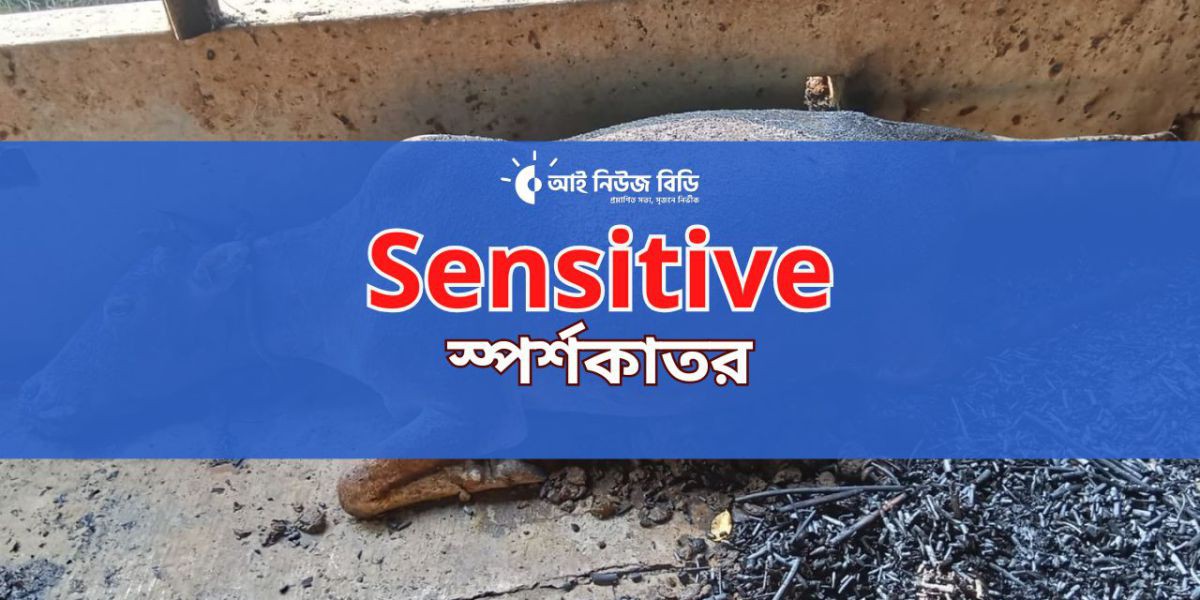 কামারখন্দে কৃষকের গোয়াল ঘরে ভয়াবহ অগ্নিকাণ্ডে পুড়লো ৫টি গর..