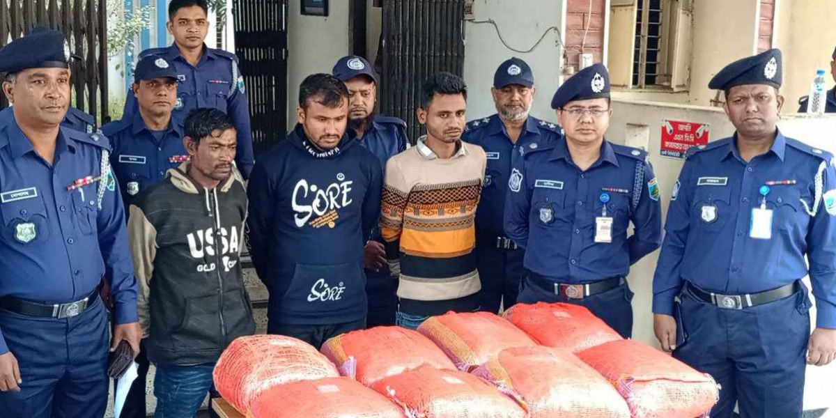 সিরাজগঞ্জে ৪৩ কেজি গাঁজাসহ তিন মাদককারবারি গ্রেফতার